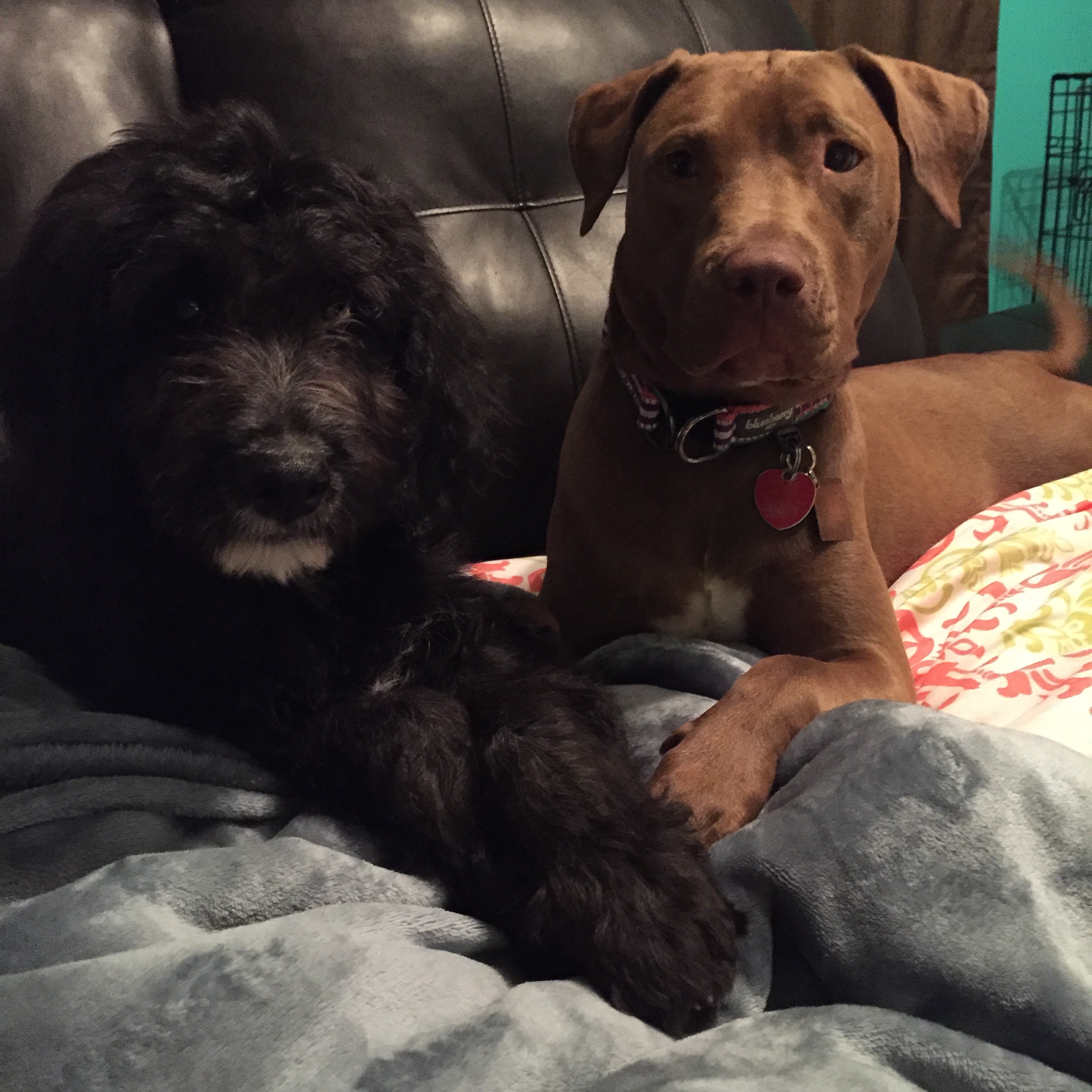 3382B547-18B4-417B-9260-F87238F9FB61 (1)